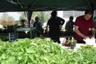 Gaudeix de la VII Fira lliga’t a la terra i Mercat del Planter a Santa Eulàlia de Ronçana