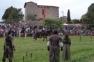 Mercat Medieval a Palau de Plegamans