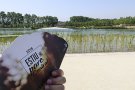 Música i cinema al Parc Central de Santa Perpètua