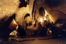 Important descoberta a la Cova de les Toixoneres