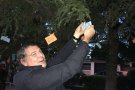 Desitjos de Nadal a Valldoreix