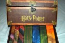 Harry Potter reviu a Sant Quirze del Vallès