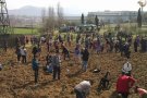 La Festa de l'Arbre, al Parc de la Plana Lledó