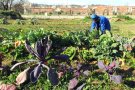 La primavera es viu als centres cívics