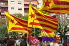 La junta de portaveus de Granollers rebutja l'aplicació de l'article 155 amb el suport del PSC