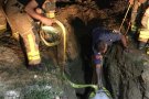Rescaten una euga que havia caigut en una rasa de dos metres de fondària a Castellar del Vallès