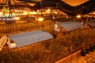 La Guàrdia Civil intervé 3,3 tones d'haixix i 5.800 plantes de marihuana a Llinars del Vallès