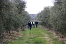 Aspa restringeix els permisos per a la caça del tord arran de la mort dels dos agents rurals i demana més controls