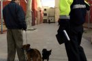 Policies vestits de paisà denunciaran els propietaris que no recullin els excrements de gos a Castellar del Vallès