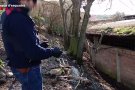 Decomissen prop de 700 ovelles i cabres a un ramader de Lliçà de Munt per maltractar-les i no tenir-ne cura
