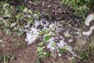 Les tempestes amb calamarsa i fortes ratxes de vent escombren gran part de Catalunya