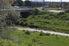 Netegem el Tenes en el marc de la jornada europea Let’s clean up 