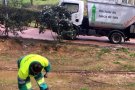 Smatsa portarà l'Ajuntament de Sabadell als tribunals després de la desestimació de les al·legacions als expedients
