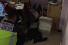 La policia espanyola deté a Terrassa un home reclamat per Alemanya per la seva vinculació amb el terrorisme jihadista