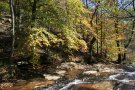 El Montseny celebra 40 anys com a Reserva de la Biosfera mantenint la preservació natural i l'activitat socioeconòmica