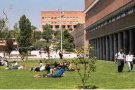 La UAB signa un acord amb Cerdanyola i l'ICD per millorar l'atenció a les víctimes de violència masclista