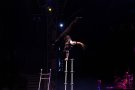 Més de 25.000 assistents a la novena edició del Festival Circ Cric