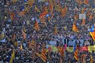 Primàries per la República dóna el tret de sortida per bastir llistes transversals per les eleccions municipals