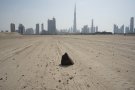 Onze joves artistes participaran en la XXI Biennal d'art contemporani català