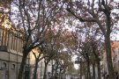 Mor un home a Terrassa mentre treballava en la rehabilitació d'un habitatge