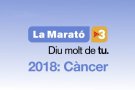 Vilanova del Vallès se solidaritza amb La Marató de TV3, enguany dedicada al càncer