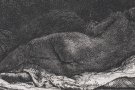 Terrassa mostra el virtuosisme de Rembrant en una exposició inèdita amb 50 gravats originals