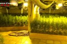 Detinguts dos veins de Santa Perpetua com a possibles autors d.una plantació de marihuana