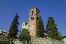 Activistes animalistes entren a una granja de porcs de Sant Pere de Vilamajor