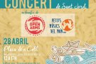 El proper diumenge 28 d'Abril Aula de So organitza un concert i paellada benèfics per a Proactiva Open Arms i Petits Músics del Món