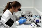 Investigadors catalans identifiquen teràpies d’estimulació sensorial per tractar la disfàgia post-ictus