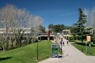 La UAB crea un abellar experimental per investigar per què cada any moren el 30% dels ruscs