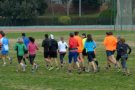 Dilluns s'obren les inscripcions a programa d'entrenaments Comença a fer La Mitja 2020