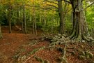 Presentació de l'Associació Arremangades - Dones del Montseny