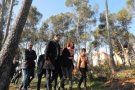 L'Ajuntament de Terrassa rep una subvenció de 877.000 € de la Diputació pels danys de la ventada amb els que replantarà l'arbrat caigut a la ciutat