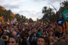AMPLIACIÓ:Jornada reivindicativa a Sabadell per recaptar diners per als detinguts el 23-S i les seves famílies