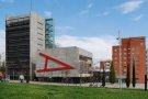 El temporal Glòria arriba a Mollet del Vallès amb fortes ratxes de vent i es demana precaució