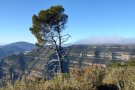 L’OnCodines Trail supera els 90 equips inscrits