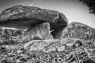El Consorci del Parc de la Serralada Litoral organitza una sortida per la prehistòria