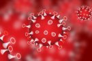AMPLIACIÓ:Dos nous casos de coronavirus a Catalunya: una dona de 52 anys de Girona i un home de Sant Cugat del Vallès
