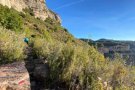 L’OnCodines Trail enfila la recta final amb 112 equips inscrits
