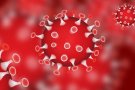 Coronavirus: Consells bàsics