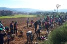 Èxit de participació a la Festa de l’Arbre i la Biodiversitat a Mollet del Vallès