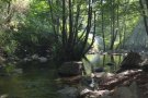 Comença la prohibició de fer foc al bosc, del 15 de març al 15 d’octubre