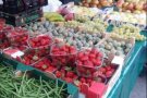 Aquest dimecres torna el Mercat Setmanal de Ripollet, amb restriccions i controls pel coronavirus