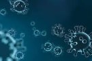 Moren tres avis d'una residència de Polinyà on també hi ha 12 hospitalitzats i 17 positius per coronavirus lleus