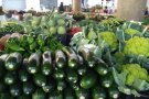 Es reobre  a partir d'aquest dissabte dia 9 els mercats de productes alimentaris a Granollers