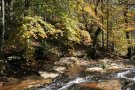Veïns del Montseny denuncien que la massificació del parc “ha assolit un punt insostenible”