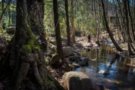 FGC i l'Ajuntament de Santa Maria de Palautordera convertiran l'estació en un centre de promoció del Parc del Montseny
