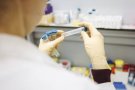 AMPLIACIÓ:Catalunya registra 822 nous casos confirmats per PCR o epidemiològicament i no es reporta cap mort