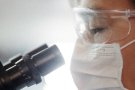 Un equip científic estudia al Sincrotró Alba potencials fàrmacs contra la covid-19